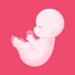 pregtracker: pregnancy tools android application logo